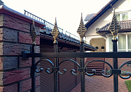 Сосновый бор_12