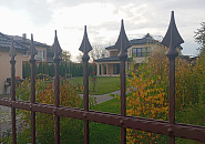 Васильковая_5