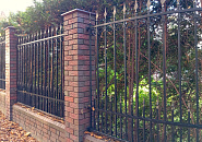 Сосновый бор_9