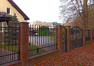 Сосновый бор_1